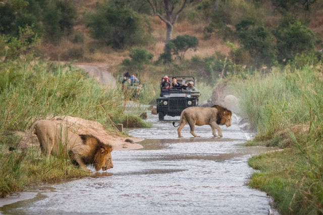 wildlife tourism