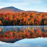 foliage views