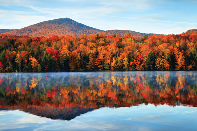 foliage views