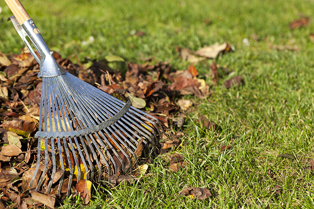 fall landscaping cleanup