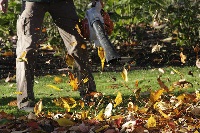 fall landscaping cleanup