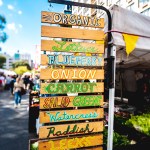 northeast farmers markets