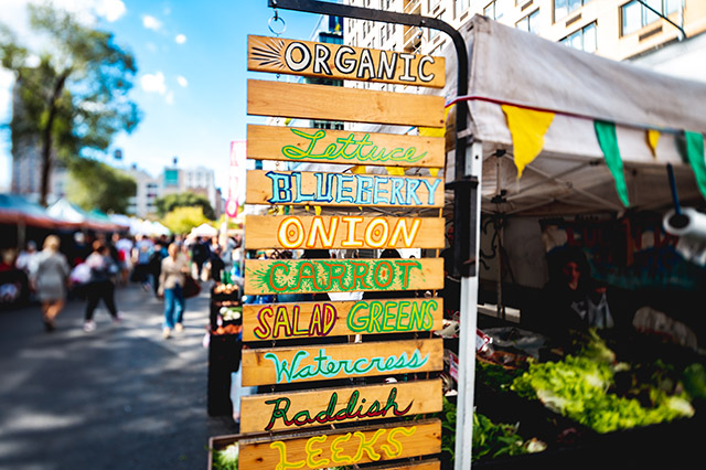 northeast farmers markets