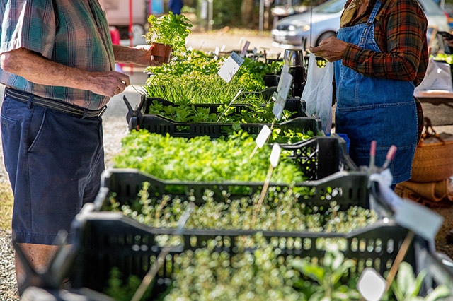 northeast farmers markets