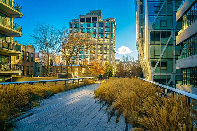 the high line