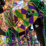 mardi gras celebration