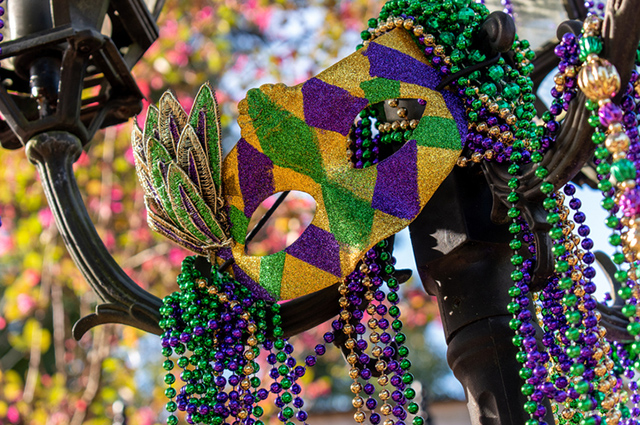 mardi gras celebration