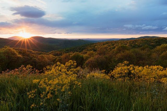 Best Spring Road Trips