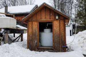 new hampshire maple syrup