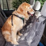 dog car restraints