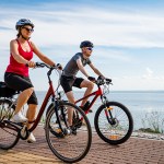 different types of bikes