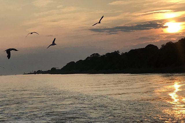 cape may sunset