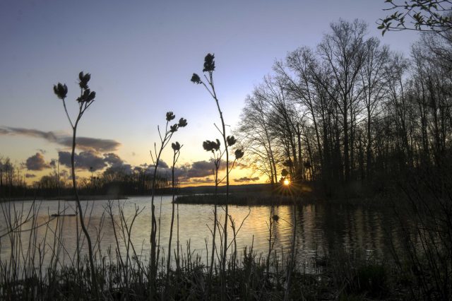 great swamp sunset