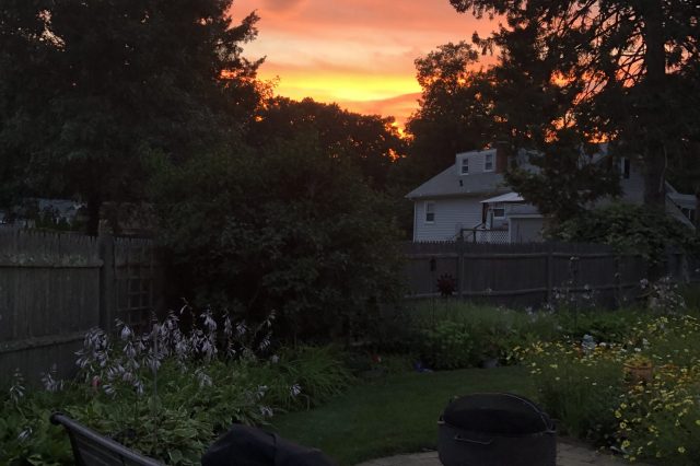 backyard sunset