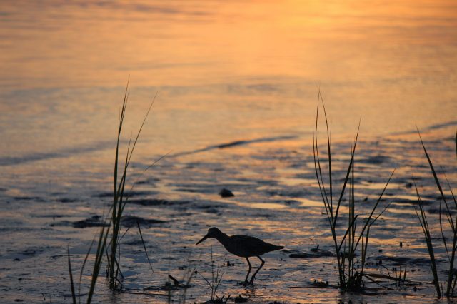 great island sunset