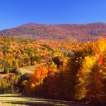 mount greylock