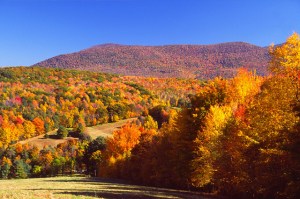 mount greylock