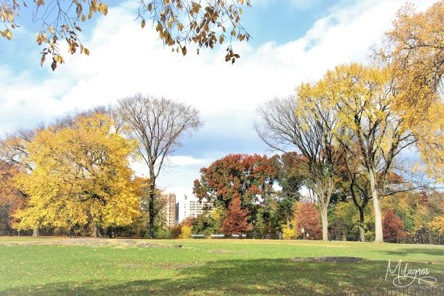 central park fall