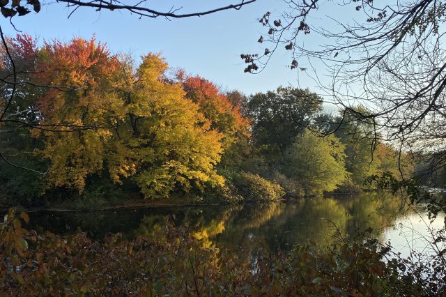 fall lake