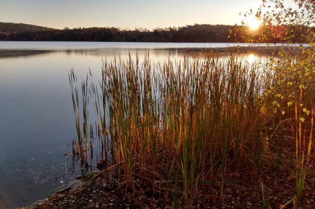 fall at sunup