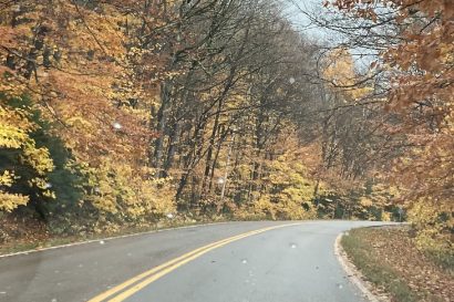 rainy fall day