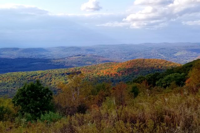 autumn vista