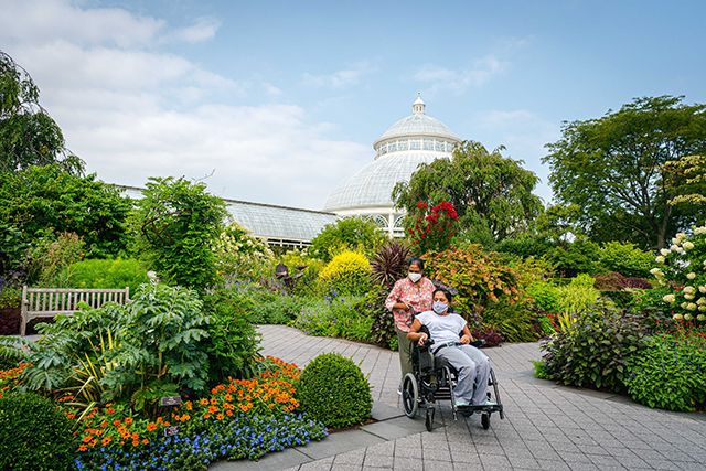 ny botanical garden 