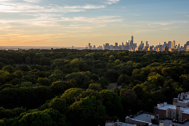 Prospect Park 