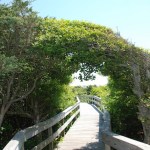 Fire Island National Seashore