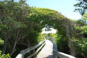 Fire Island National Seashore