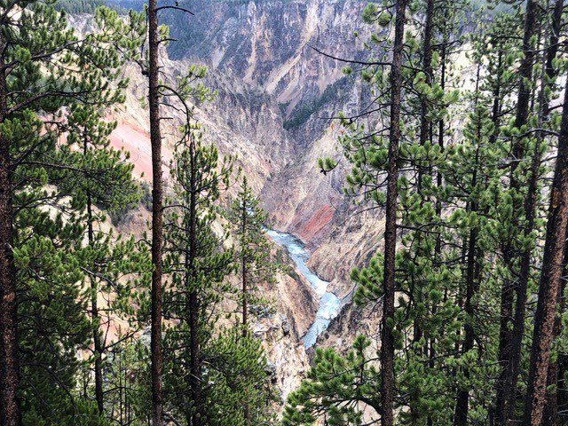 Yellowstone National Park