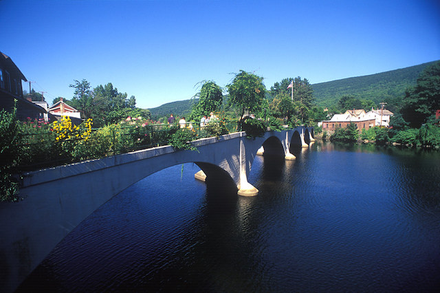 bridge of flowers