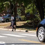 pedestrian death