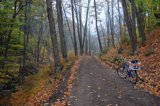 haunted roads