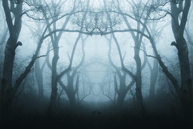 spooky season
