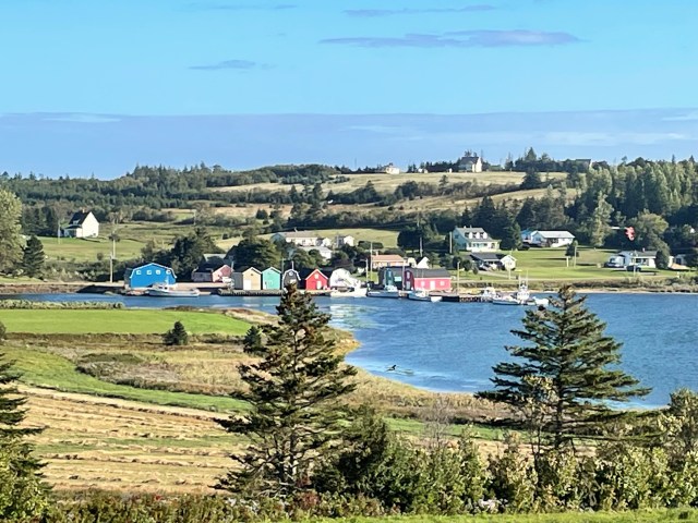 Colorful houses on the shore.