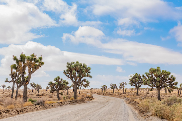 cross-country road trip