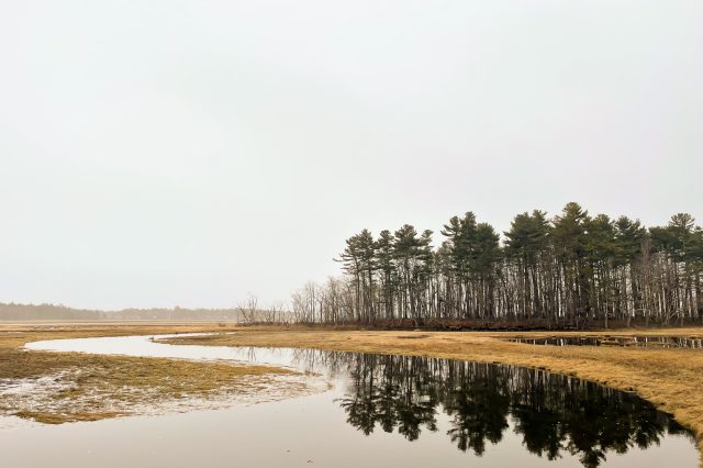 reflection photo