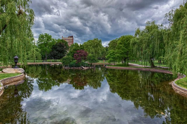 reflection photo