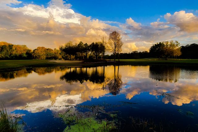 reflection photo