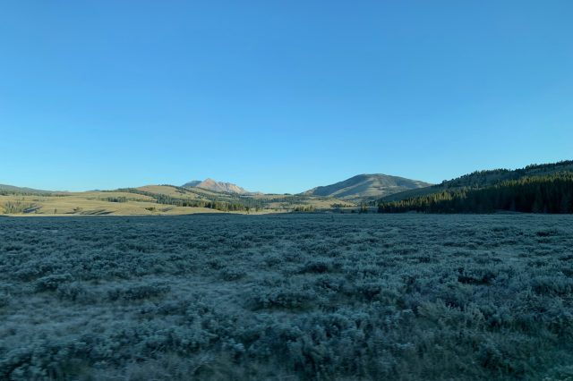 Valley landscape