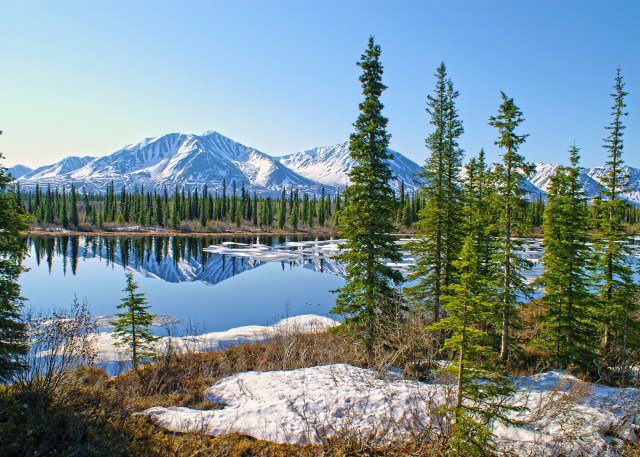 denali alaska