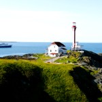 bay ferries