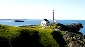 bay ferries