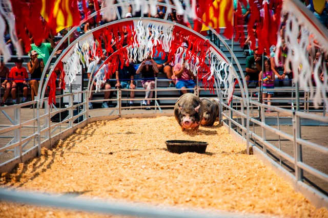 us state fairs