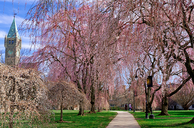 colleges with the most beautiful campuses 