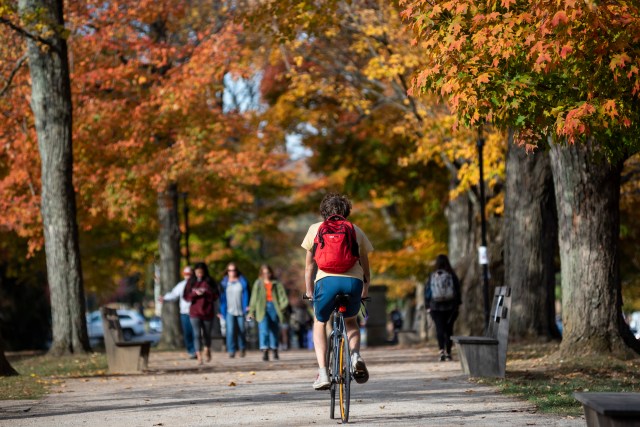 most beautiful college campuses in the US