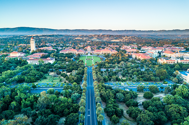 stanford university