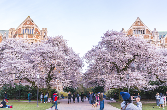 university of washington