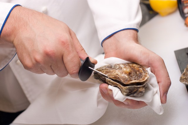 oyster farming